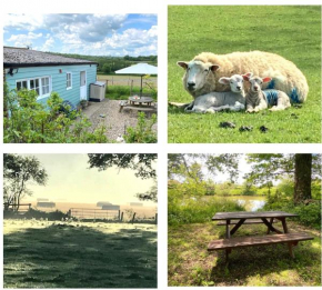 Rural Retreat in Idyllic Countryside - fishing & walks